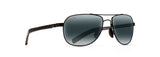 GUARDRAILS AVIATOR 021726