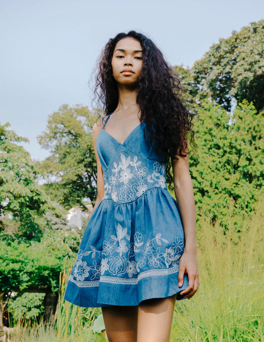 NICKS MINI DRESS 032426
