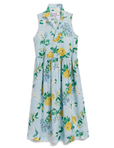 DAPHNE SLVLESS SHIRTDRESS 032026