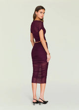 MARSH TOP 122725