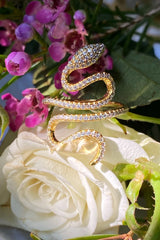 ENCHANTED SNAKE RING