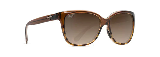 STARFISH CAT EYE 021726