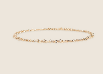 THE CHAIN BELT 102226