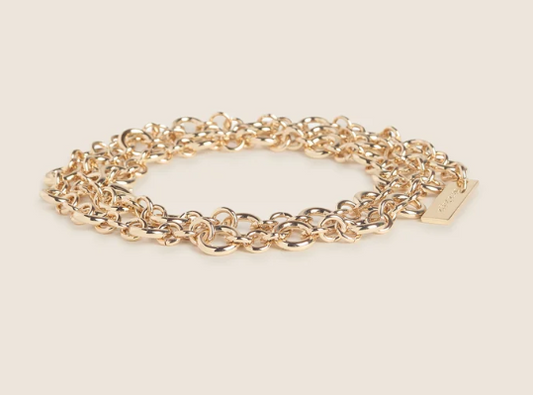THE CHAIN BELT 102226