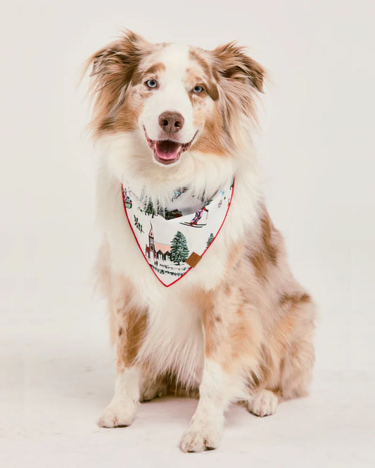 HOLIDAY TOILE PET BANDANA 111825